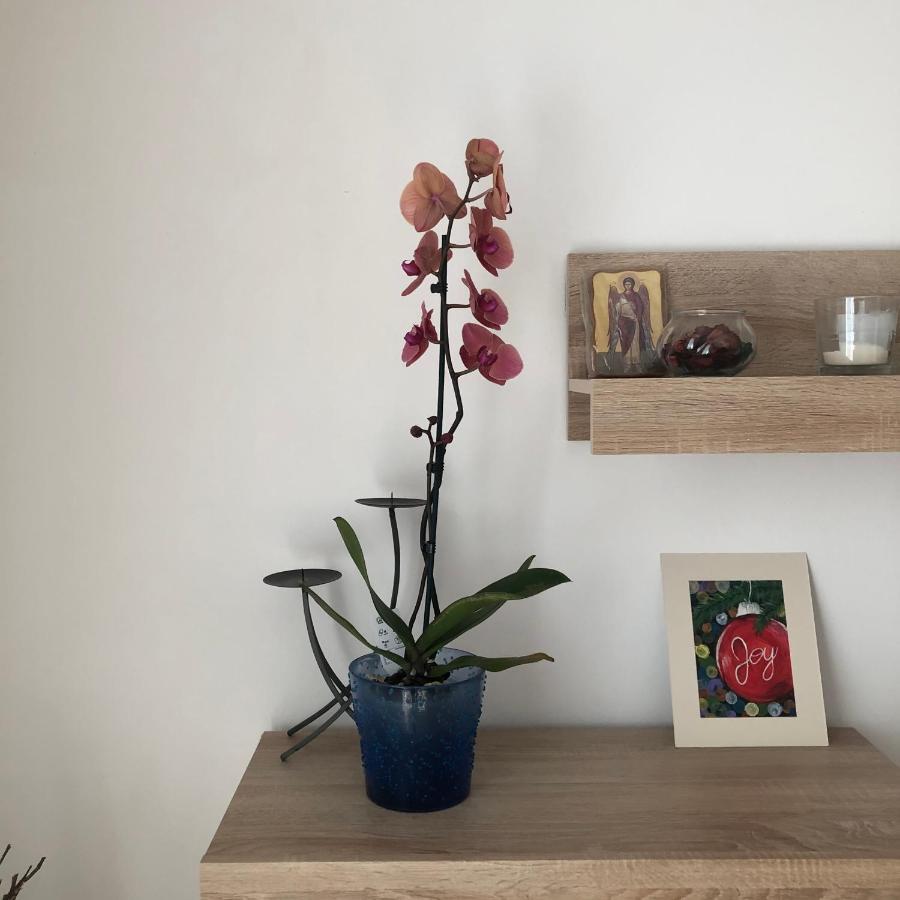 Grig Apartament Leilighet Bucureşti Eksteriør bilde
